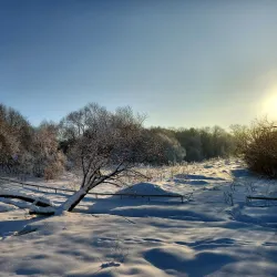 Serpukhov City Park - Serpukhov