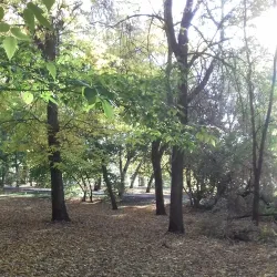 Park of Culture and Rest - Shakhty