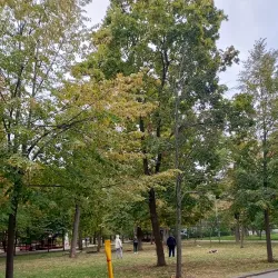 Shakhty Drama Theater - Shakhty