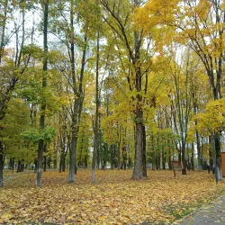 Shchelkovo Central Park - Shchelkovo (Shchyolkovo)