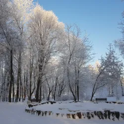 Shchelkovo Central Park - Shchelkovo (Shchyolkovo)
