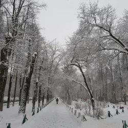 Victory Park - Shchelkovo (Shchyolkovo)