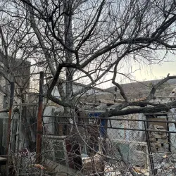 Karaite Kenesa - Simferopol