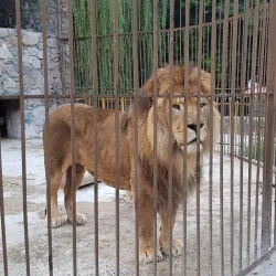 Simferopol Zoo - Simferopol