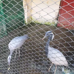 Simferopol Zoo - Simferopol