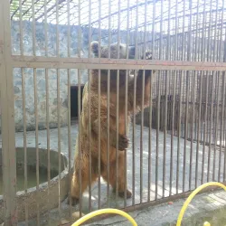 Simferopol Zoo - Simferopol