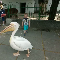 Simferopol Zoo - Simferopol