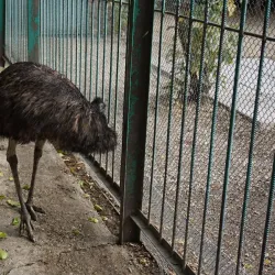 Simferopol Zoo - Simferopol