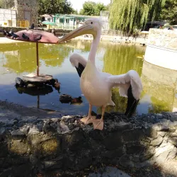 Simferopol Zoo - Simferopol