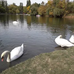 Victory Park - Simferopol