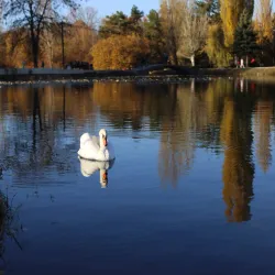 Victory Park - Simferopol