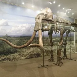 Museum of Smolensk History - Smolensk