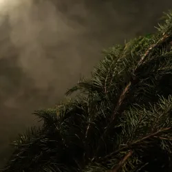 Mud Baths and Spa Centers - Sol'-Iletsk