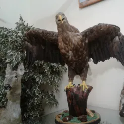 Sol'-Iletsk Local History Museum - Sol'-Iletsk