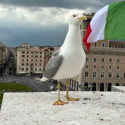 Monument to the Defenders of the Fatherland - Solnechnogorsk