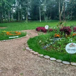 Solnechnogorsk Central Park - Solnechnogorsk