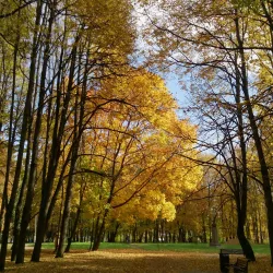 Solnechnogorsk Central Park - Solnechnogorsk