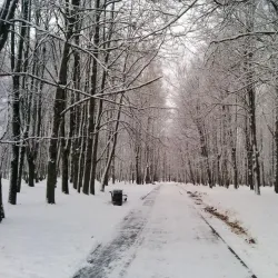 Solnechnogorsk Central Park - Solnechnogorsk