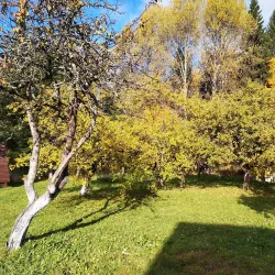Solnechnogorsk Forest Reserve - Solnechnogorsk