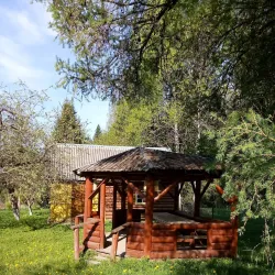 Solnechnogorsk Forest Reserve - Solnechnogorsk