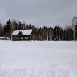 Solnechnogorsk Forest Reserve - Solnechnogorsk