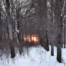 Victory Park - Solnechnogorsk