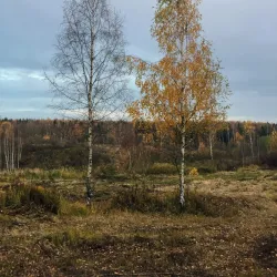 Victory Park - Solnechnogorsk