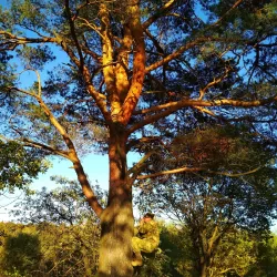 Victory Park - Solnechnogorsk