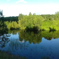 Victory Park - Solnechnogorsk