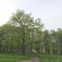 Victory Park - Solnechnogorsk