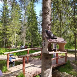 Sosnogorsk Central Park - Sosnogorsk