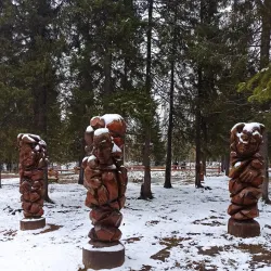 Sosnogorsk Forests - Sosnogorsk