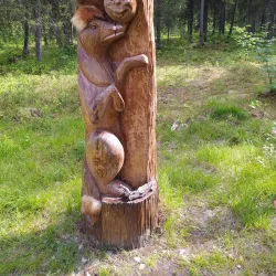 Sosnogorsk Forests - Sosnogorsk