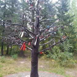 Sosnogorsk Forests - Sosnogorsk