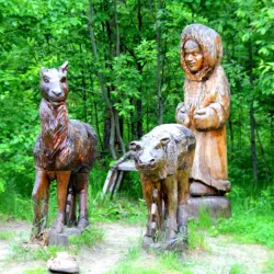 Sosnogorsk Forests - Sosnogorsk