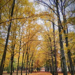 Sovetsk City Park - Sovetsk