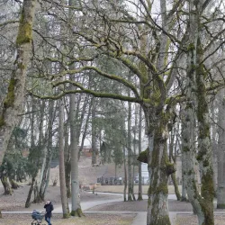 Sovetsk City Park - Sovetsk