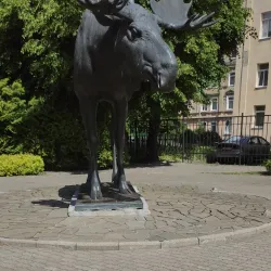 Tilsit Castle Ruins - Sovetsk