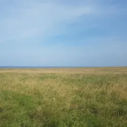 Lake Ilmen Shoreline - Staraya Russa