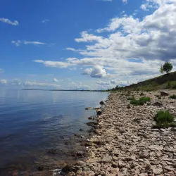 Lake Ilmen Shoreline - Staraya Russa