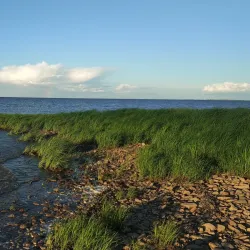 Lake Ilmen Shoreline - Staraya Russa