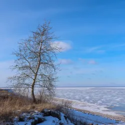 Lake Ilmen Shoreline - Staraya Russa