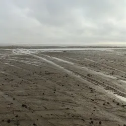 Lake Ilmen Shoreline - Staraya Russa