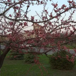 Central Park of Culture and Leisure - Stary Oskol