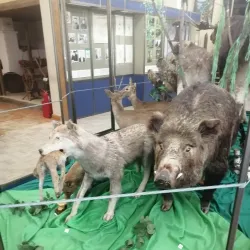 Stary Oskol Local History Museum - Stary Oskol