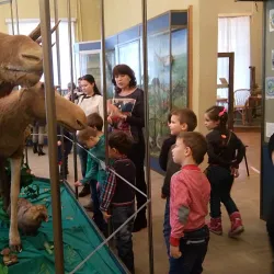 Stary Oskol Local History Museum - Stary Oskol