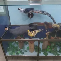 Stary Oskol Local History Museum - Stary Oskol