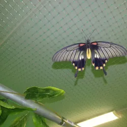 Stary Oskol Local History Museum - Stary Oskol