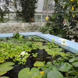 Botanical Garden of Stavropol State University - Stavropol