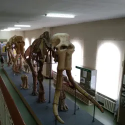 Stavropol Regional Museum of Local Lore - Stavropol